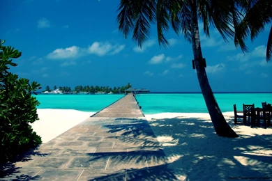 Beach Scene Backgrounds Wallpaper Images