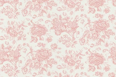 Brewster Pink Floral Toile Wallpapers   15464464   Overstock.com ...