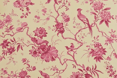 Cerise Pink Wallpapers   Wallpapers HD Fine