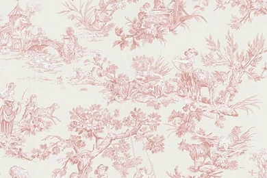 My Dream Closet Needs To Have Pink Toile Wallpapers Where My Little ...