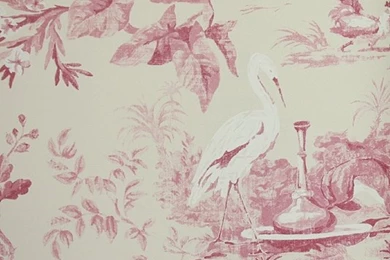 Aesop's Fables Wallpapers In Pink
