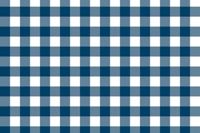 Blue And White Gingham Wallpapers   Weavingmajor   Spoonflower