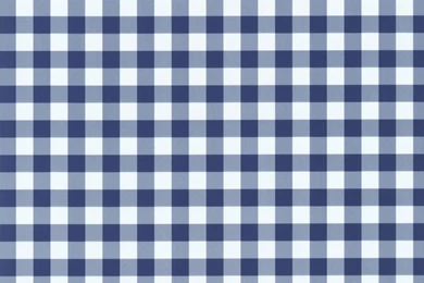 Playground Sky Blue / White Gingham Check Wallpapers By P+S ...