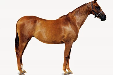 At &t Stock Quotes   Quotes Like