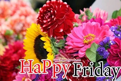 Download Happy Friday HD Pictures 2015