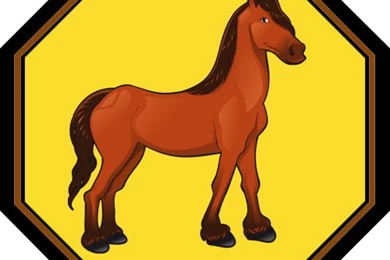 At Yılı Özellikleri