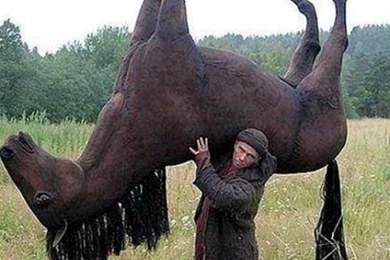 Mahşerin At Hırsızı (@mahserathirsiz)