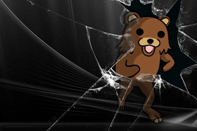 Wallpapers Broken Lcd Pedobear Screen Microsoft Windows X 583577.6 ...