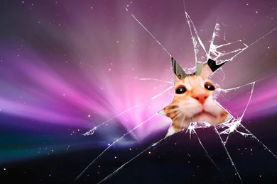 Broken Screen : Desktop And Mobile Wallpapers : Wallippo