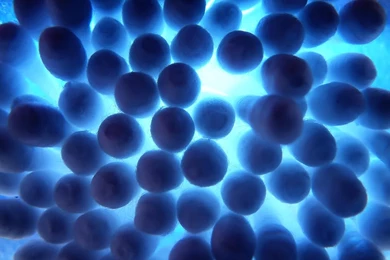 High Resolution Wallpapers   Wallpapers High Definition