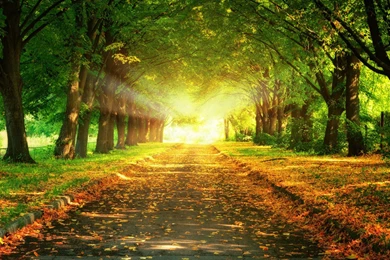 Desktop_backgrounds_nature_