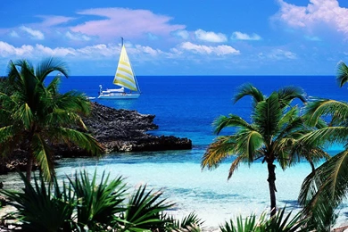 Free Desktop Backgrounds Nature Free Desktop Backgrounds Pictures ...