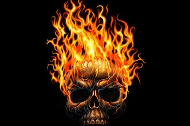 Skull Wallpapers For Android   Wallpapers Zone