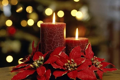 Celebration HD Wallpapers