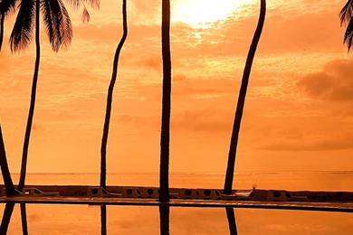 Hawaii Sunset Coast Wallpapers For iPhone 6 Plus, iPhone 6 Plus ...