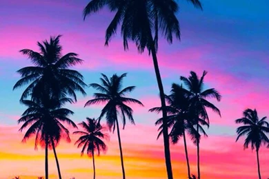 Sunset Beach On Pinterest
