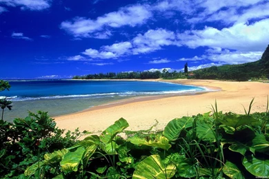 Hawaii Beach Wallpapers