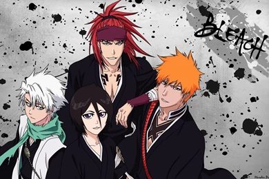 Best Anime Wallpaper: Bleach 981408 Anime