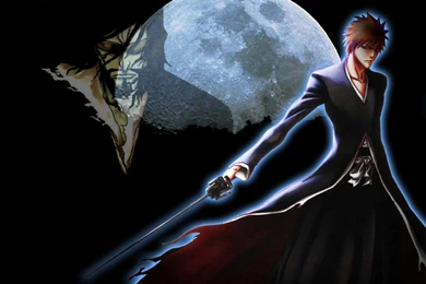 8176 Bleach HD Wallpapers