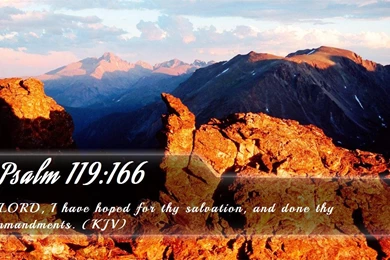 Nook Wallpapers   Free Nook Wallpapers HD 15