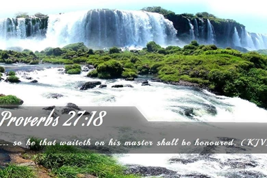 Nook Wallpapers   Free Nook Wallpapers HD 4