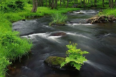 Japanese Scenery Wallpapers   Professional & Beautiful11   Wallcoo.net