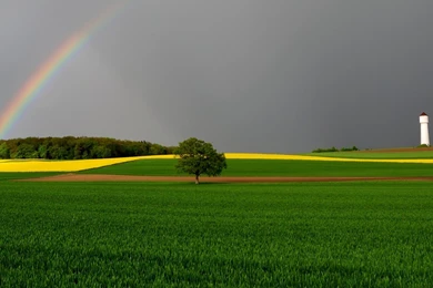 Scenery: Green Fields Rainbow Nature Landscape Scenery Wallpapers ...