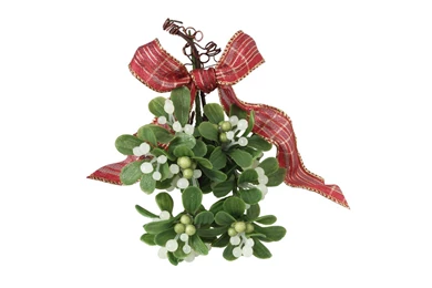 Kissing Under The Mistletoe HD 1080p Wallpapers ~ The Wallpapers ...