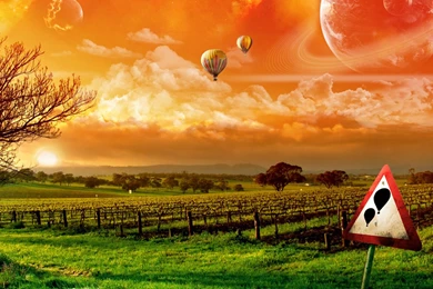 Hot Air Balloon Rides < Vector < Gallery < Desktop Wallpapers