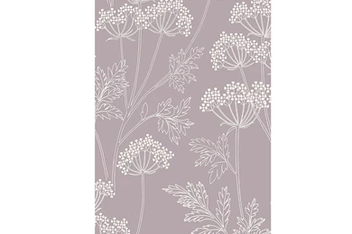 Buy John Lewis Cow Parsley Wallpapers