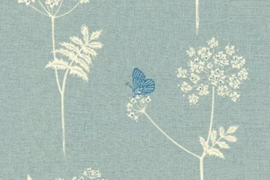 Cow Parsley   Wallpapers   Duck Egg, Cornflower   Vanessa Arbuthnott