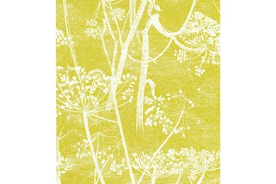 Buy Cole & Son Cowparsley Wallpapers