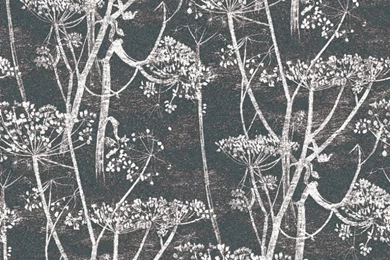 Cow Parsley By Cole & Son : Wallpapers Direct