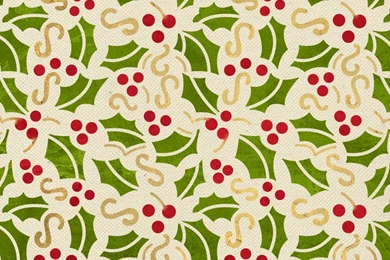 Holly Berry Mistletoe Holiday Craft Stencils   DIY Christmas Decor ...