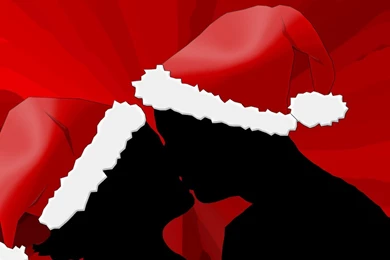 Mistletoe 1024 Wallpapers