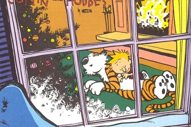 Calvin And Hobbes Christmas On Pinterest