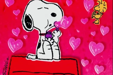 Valentine Wallpapers 2016  Dr. Odd