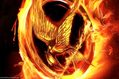 Hunger Games Symbol, 1920x1200 HD Wallpapers And FREE Stock Photo