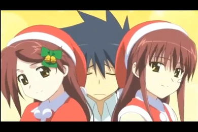 Kiss X Sis Wallpapers   Wallpapers Cave