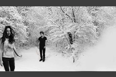 Twilight Saga   Twilight Series Wallpapers (8053744)   Fanpop