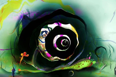 Desktop Wallpapers · Gallery · Humor · Modern Snail