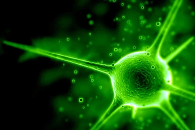 Green Cool Backgrounds Wallpapers