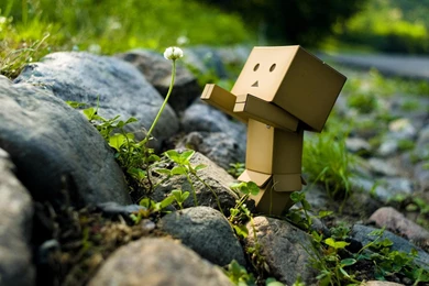 Free 1920X1408 Domo Kun 1920x1408 Wallpapers Screensaver Preview Id ...