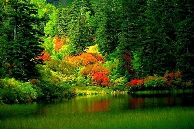 Best Pictures, High Resolution Images, Quality Backgrounds