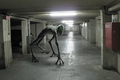 Wallpapers Lord Krishan Nature In Hd Dark Parking Garage 1680x1050 ...