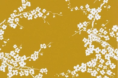 White Cherry Blossom On Gold Wallpapers