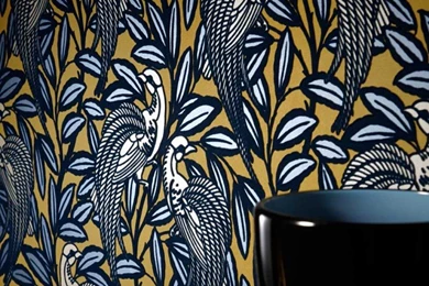 Tailfeather2 75987652b80e677aff3aed3084bd3eba.jpg