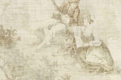 Brown Tones HS80207 Old English Style Wallpapers   Traditional