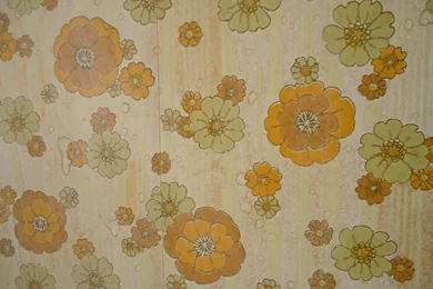 Home Sweet Home – Maples On Mounties