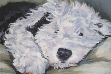 Drawn Old English Sheepdog Photo And Wallpaper. Beautiful Drawn ...